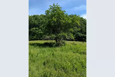 Tbd Bledsoe Creek Road, Sparta, NC 28675 - Photo 6