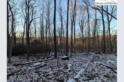 Tbd Bledsoe Creek Road, Sparta, NC 28675 - Photo 24