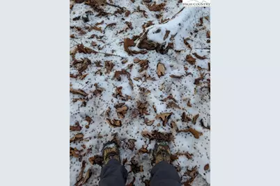 Tbd Bledsoe Creek Road, Sparta, NC 28675 - Photo 24