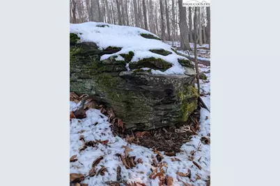 Tbd Bledsoe Creek Road, Sparta, NC 28675 - Photo 22