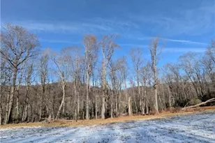 Tbd Bledsoe Creek Rd, Sparta, NC 28675 - Photo 1