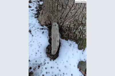 Tbd Bledsoe Creek Road, Sparta, NC 28675 - Photo 26