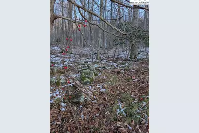 Tbd Bledsoe Creek Road, Sparta, NC 28675 - Photo 8