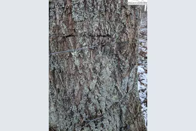 Tbd Bledsoe Creek Road, Sparta, NC 28675 - Photo 28