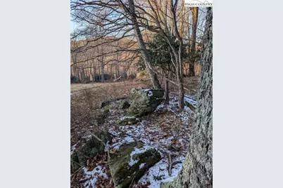 Tbd Bledsoe Creek Road, Sparta, NC 28675 - Photo 10