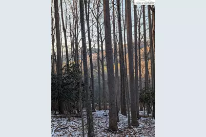 Tbd Bledsoe Creek Road, Sparta, NC 28675 - Photo 18