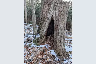 Tbd Bledsoe Creek Road, Sparta, NC 28675 - Photo 16