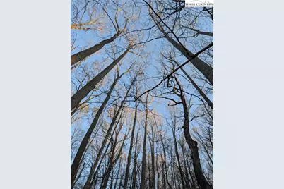 Tbd Bledsoe Creek Road, Sparta, NC 28675 - Photo 14