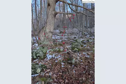 Tbd Bledsoe Creek Road, Sparta, NC 28675 - Photo 10