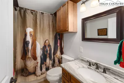 1543 Grouse Moor Drive, Sugar Mountain, NC 28604 - Photo 24