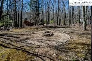 811 Pine Ridge Rd, Beech Mountain, NC 28604 - Photo 30