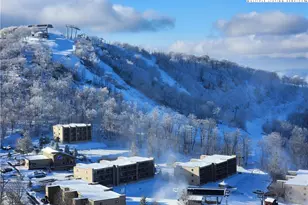 303 Sugar Top Dr, Sugar Mountain, NC 28604 - Photo 2