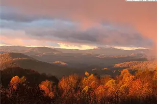 211 Maple Tree Ln, West Jefferson, NC 28694 - Photo 44