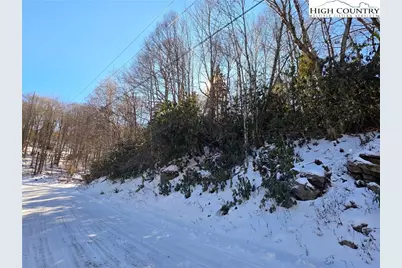 137 Wild Daisy Lane, Beech Mountain, NC 28604 - Photo 2