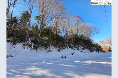 137 Wild Daisy Lane, Beech Mountain, NC 28604 - Photo 1