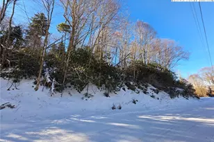 137 Wild Daisy Ln, Beech Mountain, NC 28604 - Photo 1