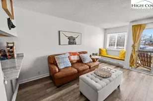 301 Pinnacle Inn Rd, Beech Mountain, NC 28604 - Photo 10