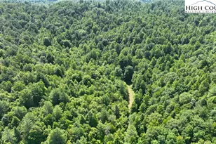 2967 Roby Martin Rd, Lenoir, NC 28645 - Photo 38