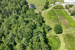 2967 Roby Martin Rd, Lenoir, NC 28645 - Photo 42