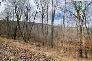 121 Shagbark Rd, Beech Mountain, NC 28604 - Photo 1