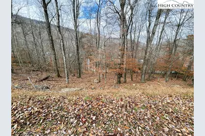121 Shagbark Road, Beech Mountain, NC 28604 - Photo 2