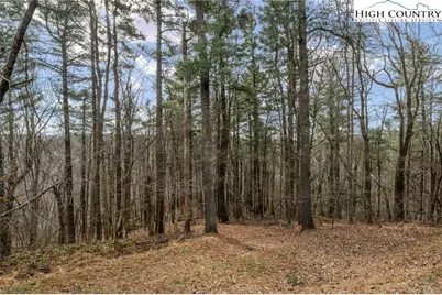 276 Storie Road, Boone, NC 28607 - Photo 44