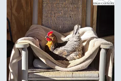 325 Sawyers Road, Warrensville, NC 28693 - Photo 6