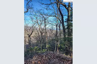 Tract 1-54.377 Ac Cone Orchard Lane, Blowing Rock, NC 28605 - Photo 8