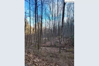 Tract 1-54.377 Ac Cone Orchard Lane, Blowing Rock, NC 28605 - Photo 10