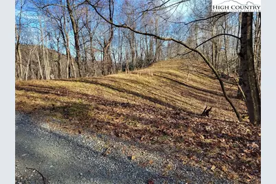 Tract 1-54.377 Ac Cone Orchard Lane, Blowing Rock, NC 28605 - Photo 6