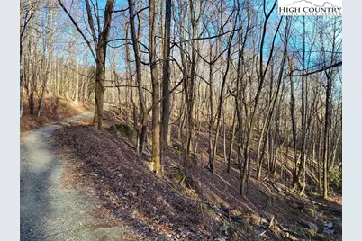 Tract 1-54.377 Ac Cone Orchard Lane, Blowing Rock, NC 28605 - Photo 12