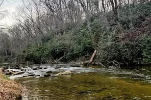 651 Rivers Edge Rd, Sparta, NC 28675 - Photo 28