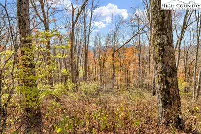 Lot 7 Fox Pointe, Banner Elk, NC 28604 - Photo 10