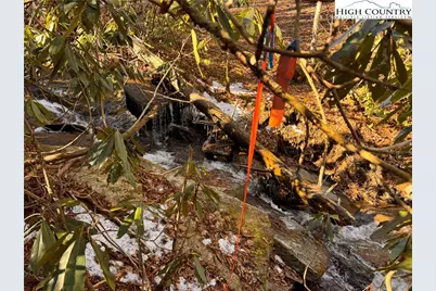 117 Wild Daisy Lane, Beech Mountain, NC 28604 - Photo 6