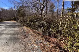 117 Wild Daisy Ln, Beech Mountain, NC 28604 - Photo 1