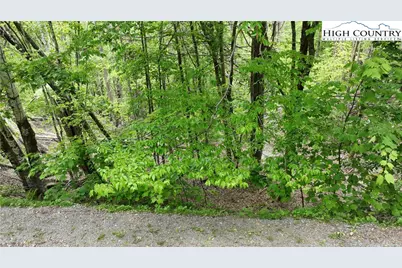 206 Wild Daisy Lane, Beech Mountain, NC 28604 - Photo 1