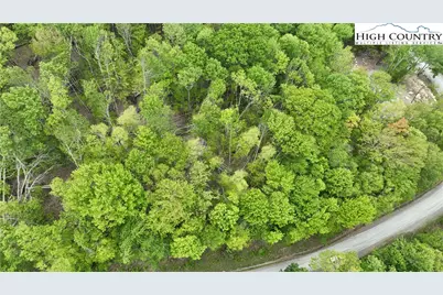 206 Wild Daisy Lane, Beech Mountain, NC 28604 - Photo 14