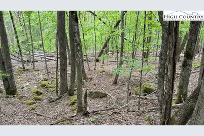 206 Wild Daisy Lane, Beech Mountain, NC 28604 - Photo 22