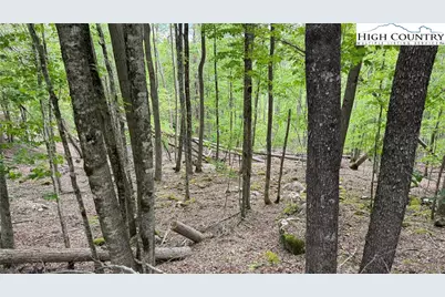 206 Wild Daisy Lane, Beech Mountain, NC 28604 - Photo 26