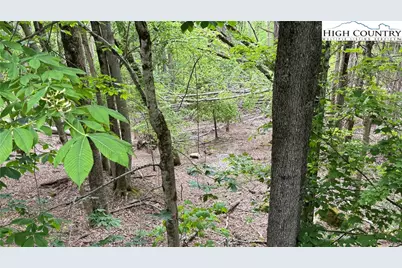 206 Wild Daisy Lane, Beech Mountain, NC 28604 - Photo 28