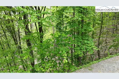 206 Wild Daisy Lane, Beech Mountain, NC 28604 - Photo 6