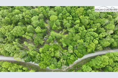 206 Wild Daisy Lane, Beech Mountain, NC 28604 - Photo 16