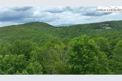 206 Wild Daisy Lane, Beech Mountain, NC 28604 - Photo 8