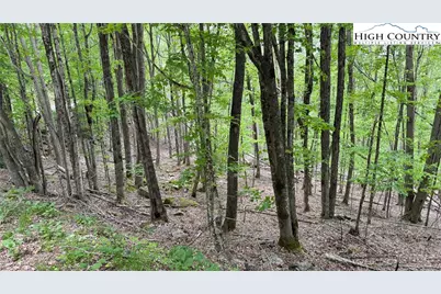 206 Wild Daisy Lane, Beech Mountain, NC 28604 - Photo 24