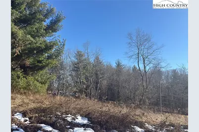 Tbd Linhigh Drive, Newland, NC 28657 - Photo 4