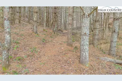 Tbd Old Highway 16 Highway, Grassy Creek, NC 28631 - Photo 34