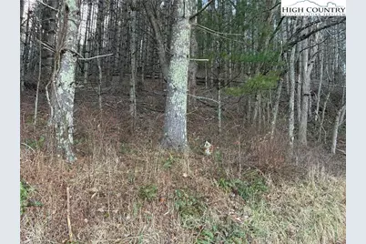 Tbd Old Highway 16 Highway, Grassy Creek, NC 28631 - Photo 8