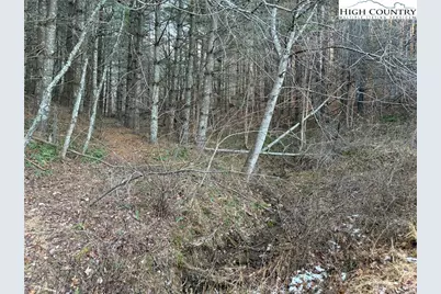 Tbd Old Highway 16 Highway, Grassy Creek, NC 28631 - Photo 10