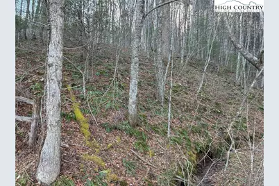 Tbd Old Highway 16 Highway, Grassy Creek, NC 28631 - Photo 6