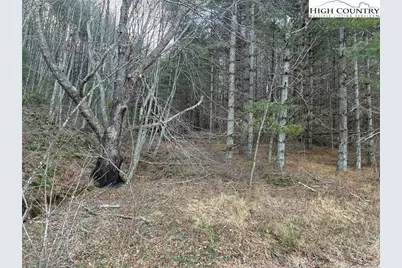 Tbd Old Highway 16 Highway, Grassy Creek, NC 28631 - Photo 2